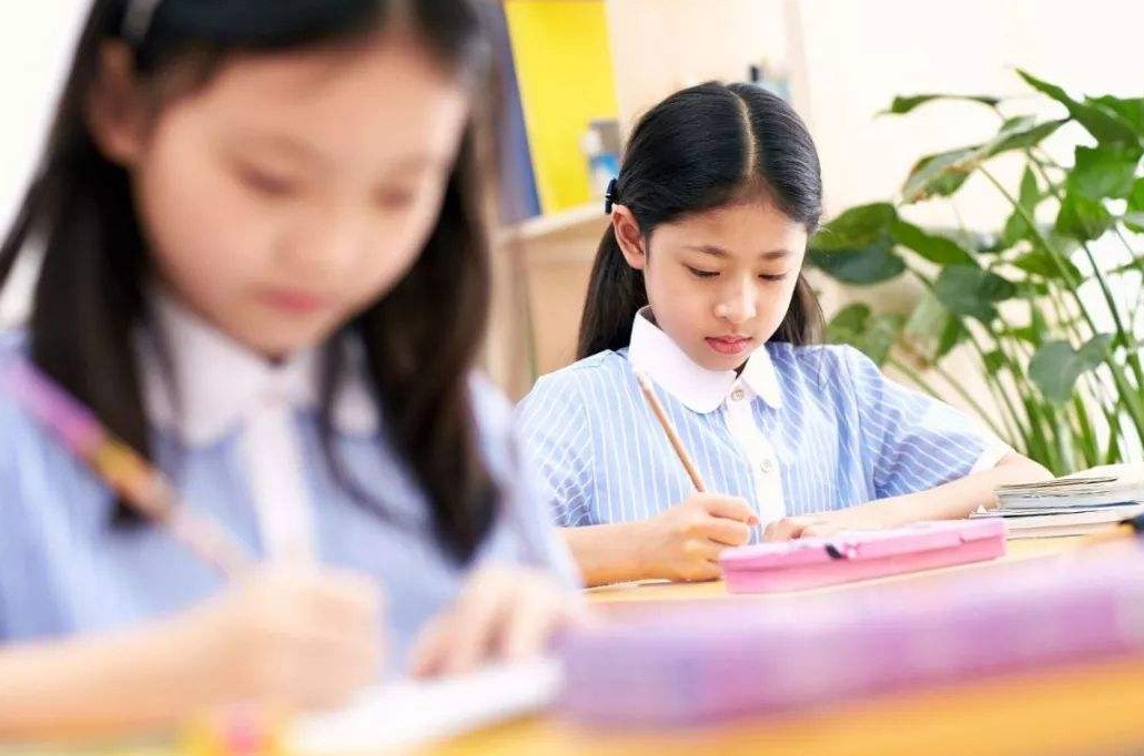 rmzz_3_201912a923cdee-be81-4d4e-b626-ee47b7a92ae6.jpg